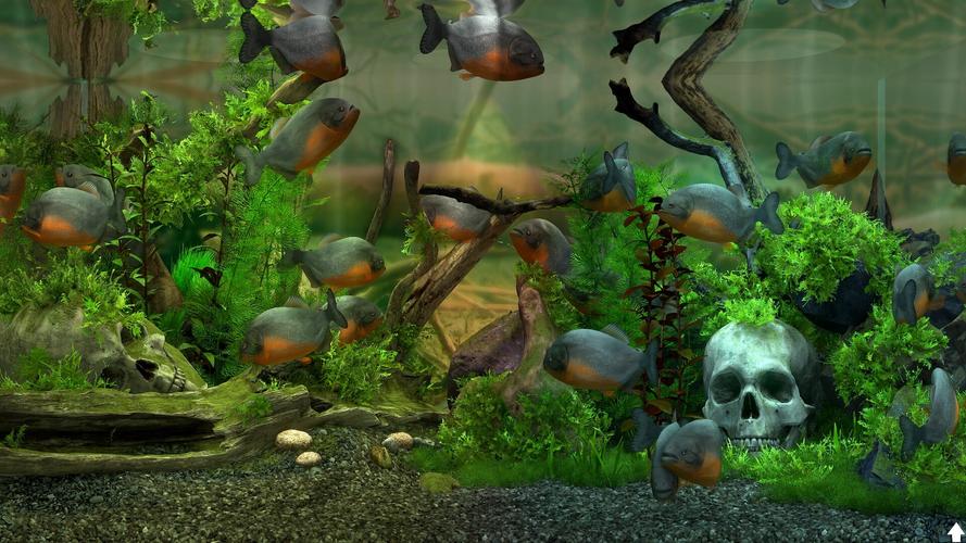 【PC】玻璃背后：水族馆模拟器(Behind Glass_ Aquarium Simulator)_Build.23738346 官中