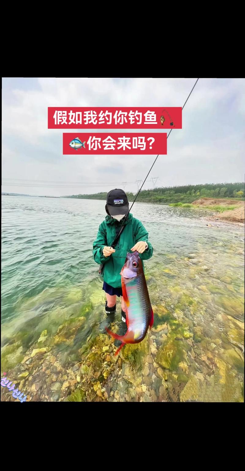 52jidi.去钓鱼(GONE Fishing)_Build.24223778 官中